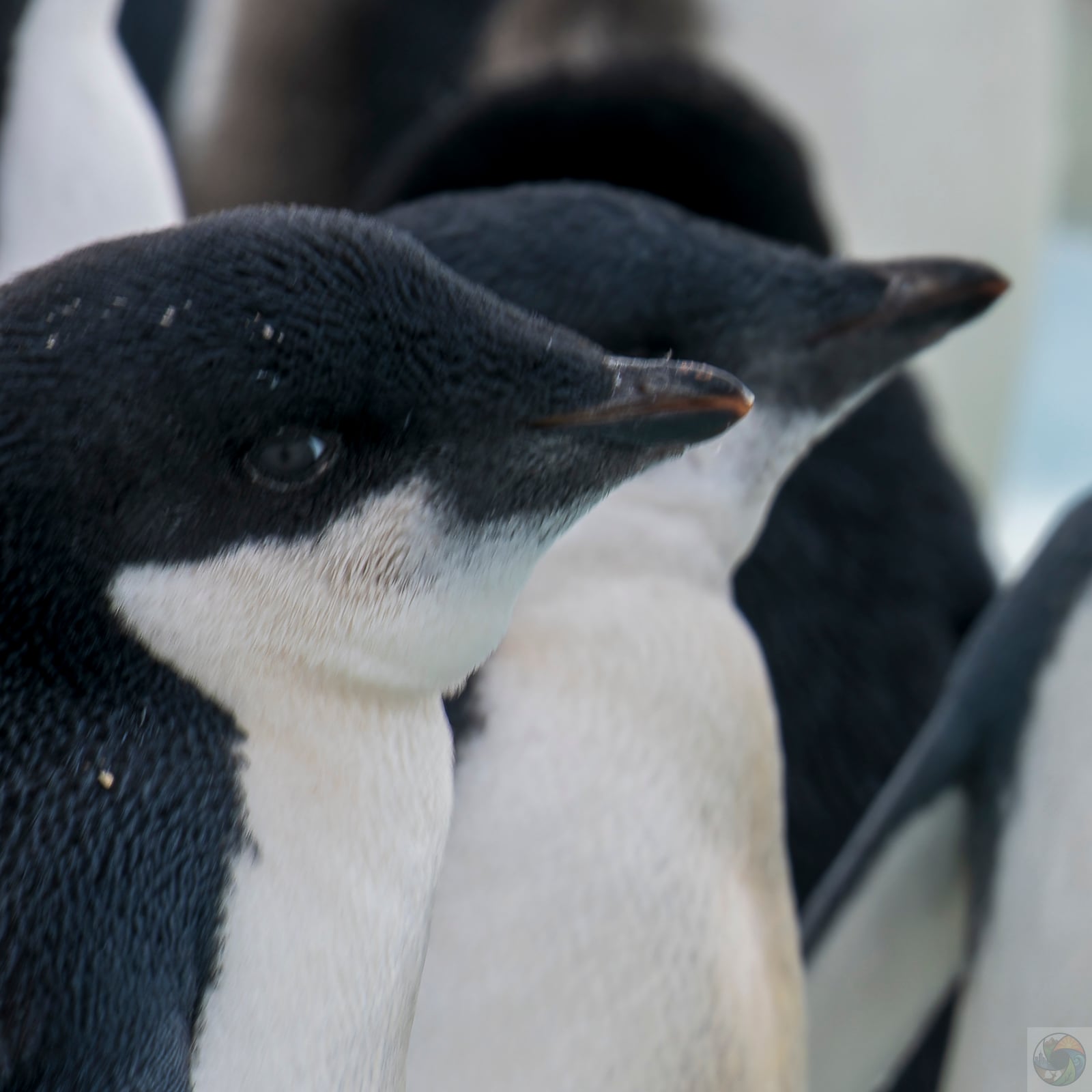 First Winter Approaches