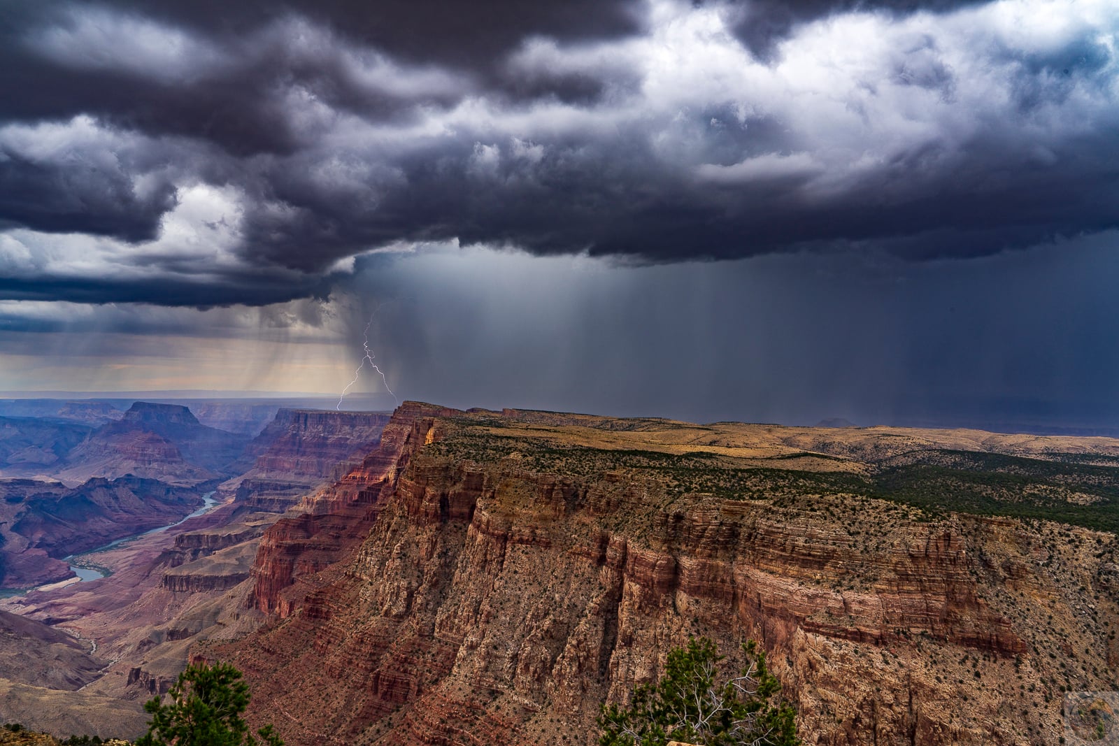 Navajo Point Lightning I