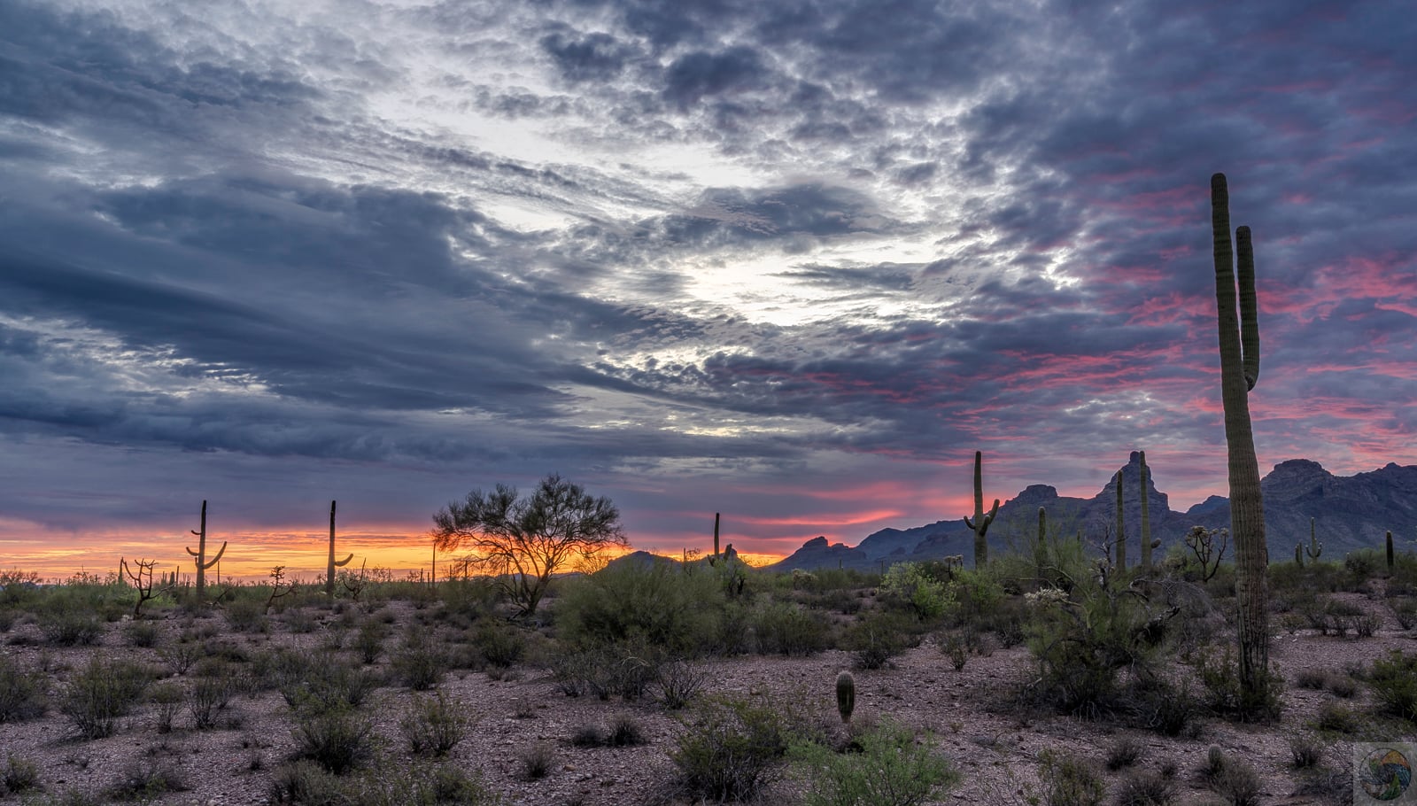 First Light at Organ Pipe