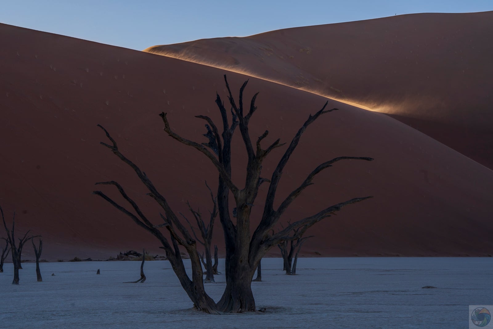 Deadvlei at Dawn I