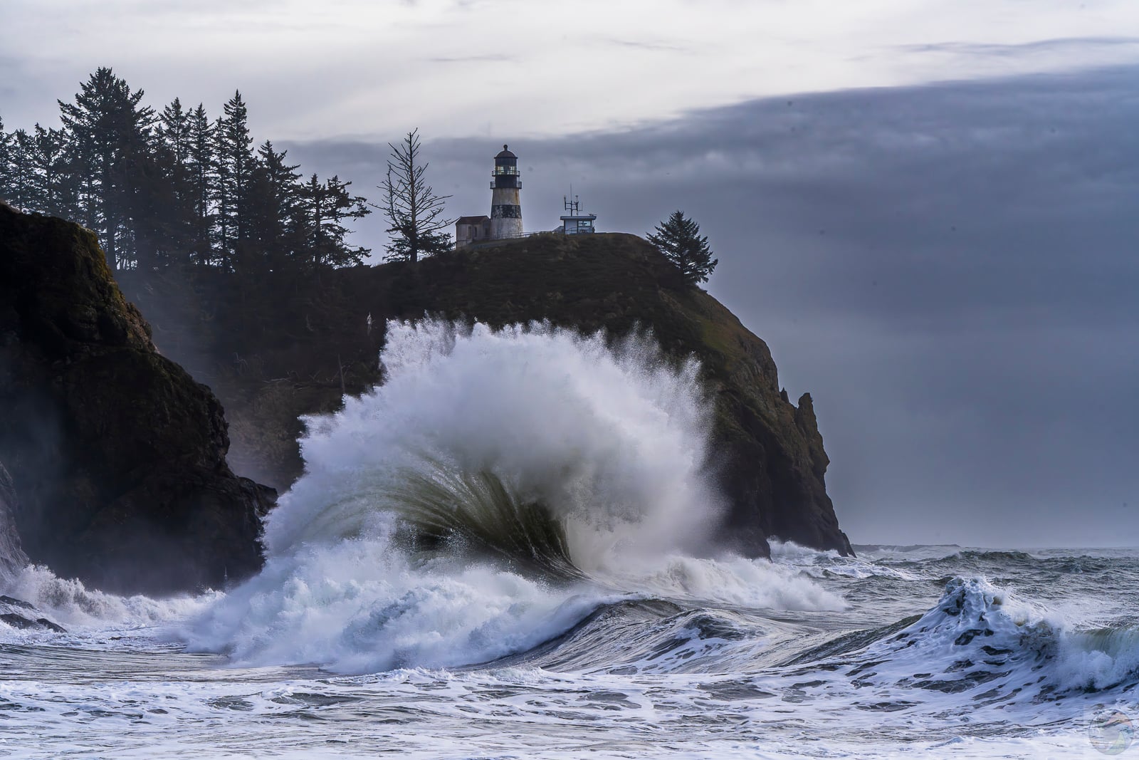 Disappointment Wave II