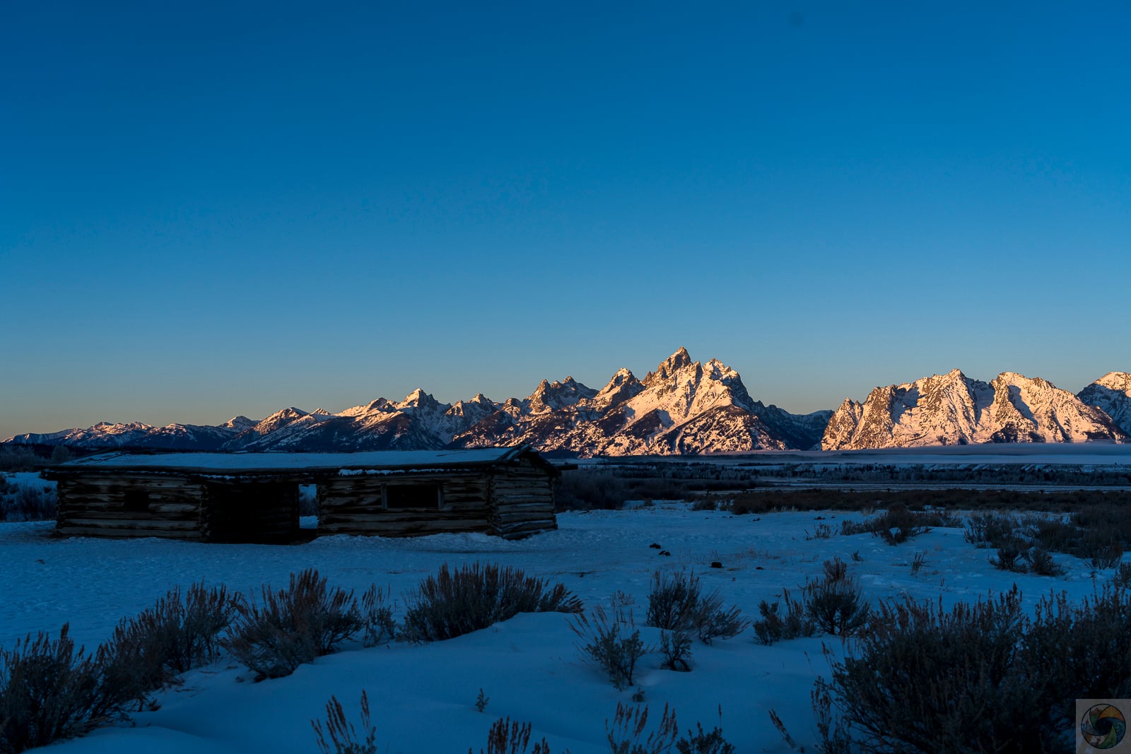 Morning at Mr. Schwabacher's Cabin