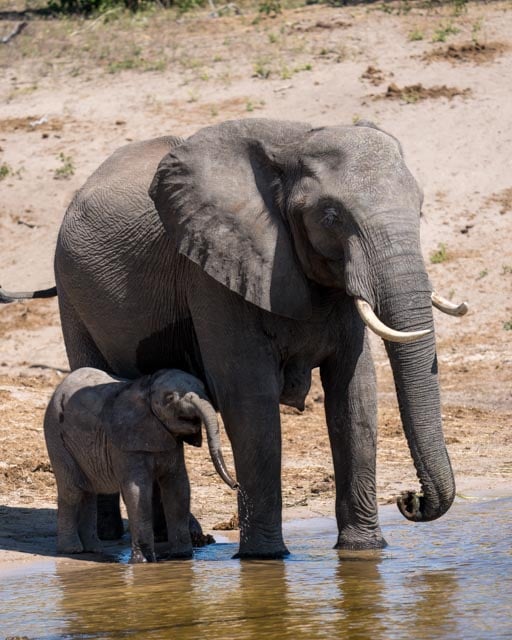 Mother and Child II