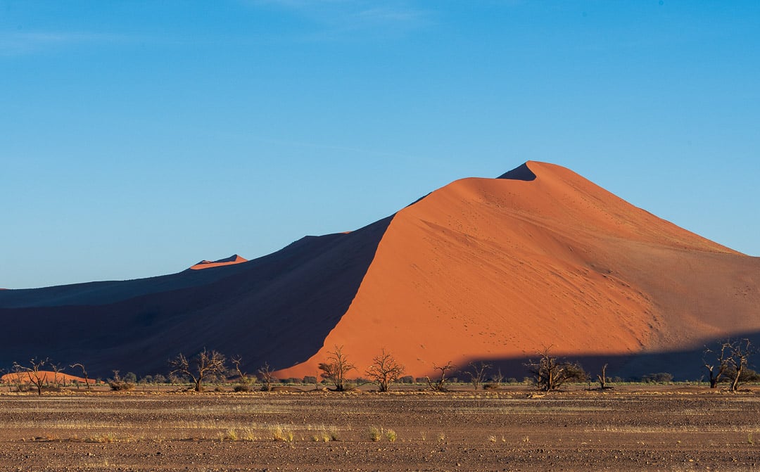 Namib Desert Morning I
