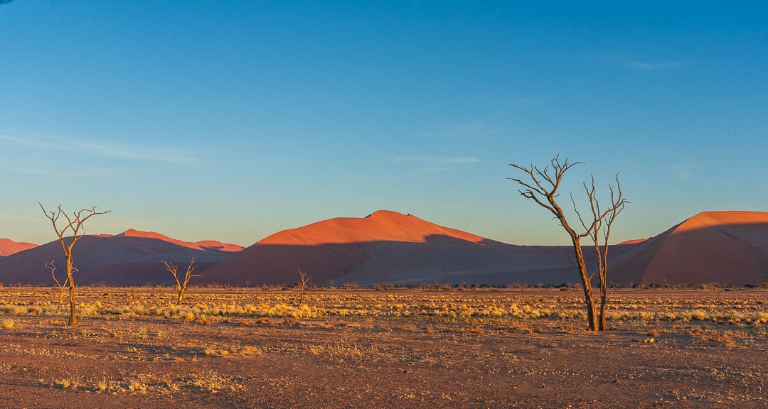 Namib Desert Morning II
