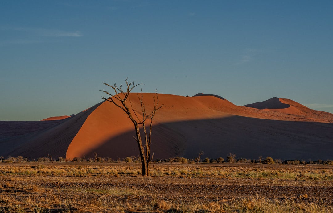 Namib Desert Morning III
