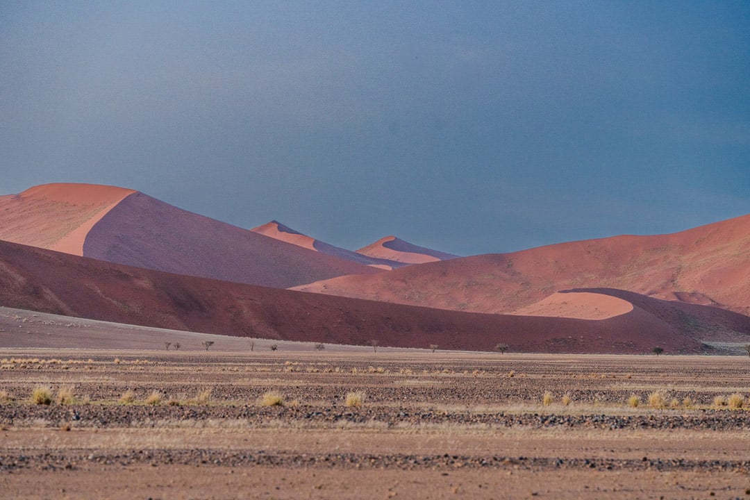 Namib Desert Morning V